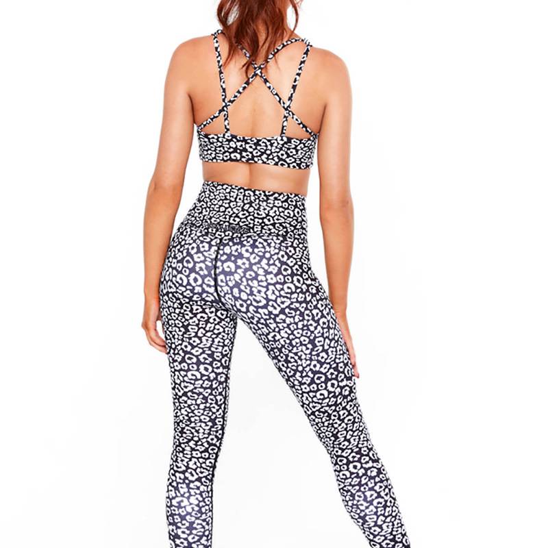 Cow Print Top-stitching Wideband Waist Sports Leggings for Sale New  Zealand, New Collection Online